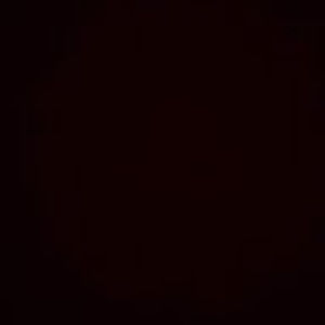 Meet your Posher, Armando